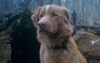 Crítica de Good Boy (2025): Más que una películ...